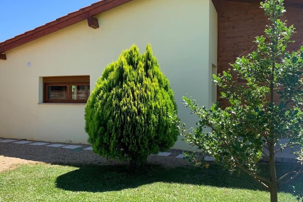 Quinta Pedro E Ines Villa Braganca Exterior photo