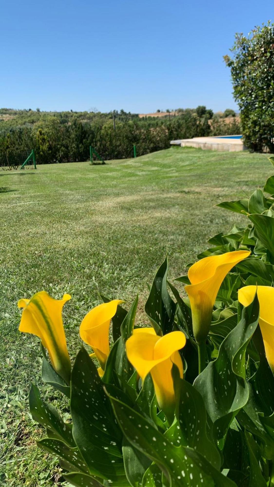 Quinta Pedro E Ines Villa Braganca Exterior photo