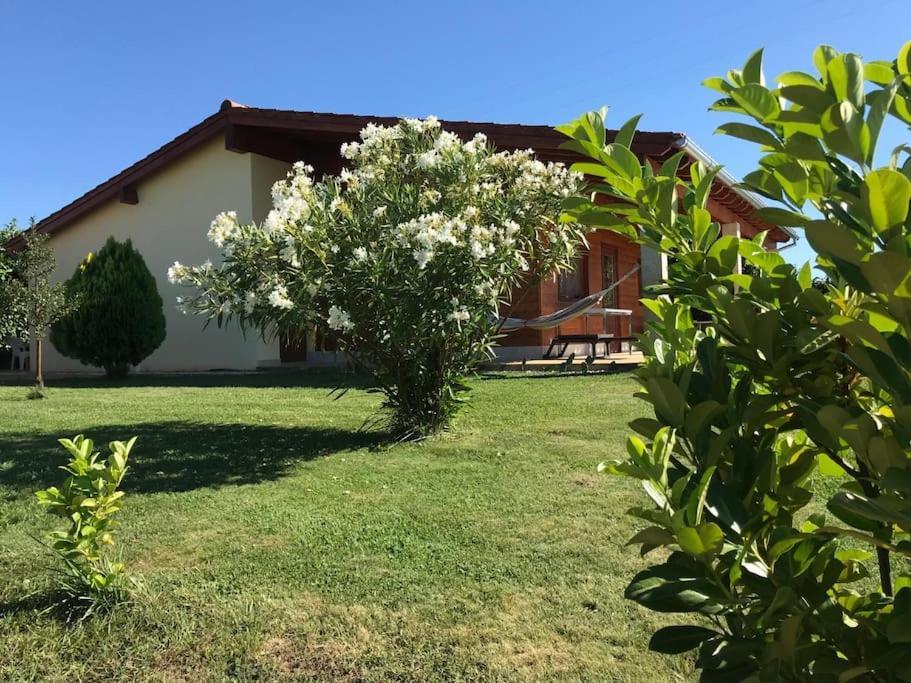 Quinta Pedro E Ines Villa Braganca Exterior photo